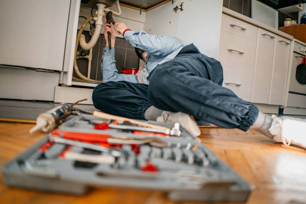 Best Sprinkler Systems  in Chanhassen, MN